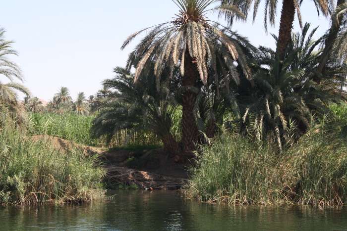 En Dahabiya, por el Nilo, con otros ojos - Blogs de Egipto - 4to. Día. Nunca más (4)